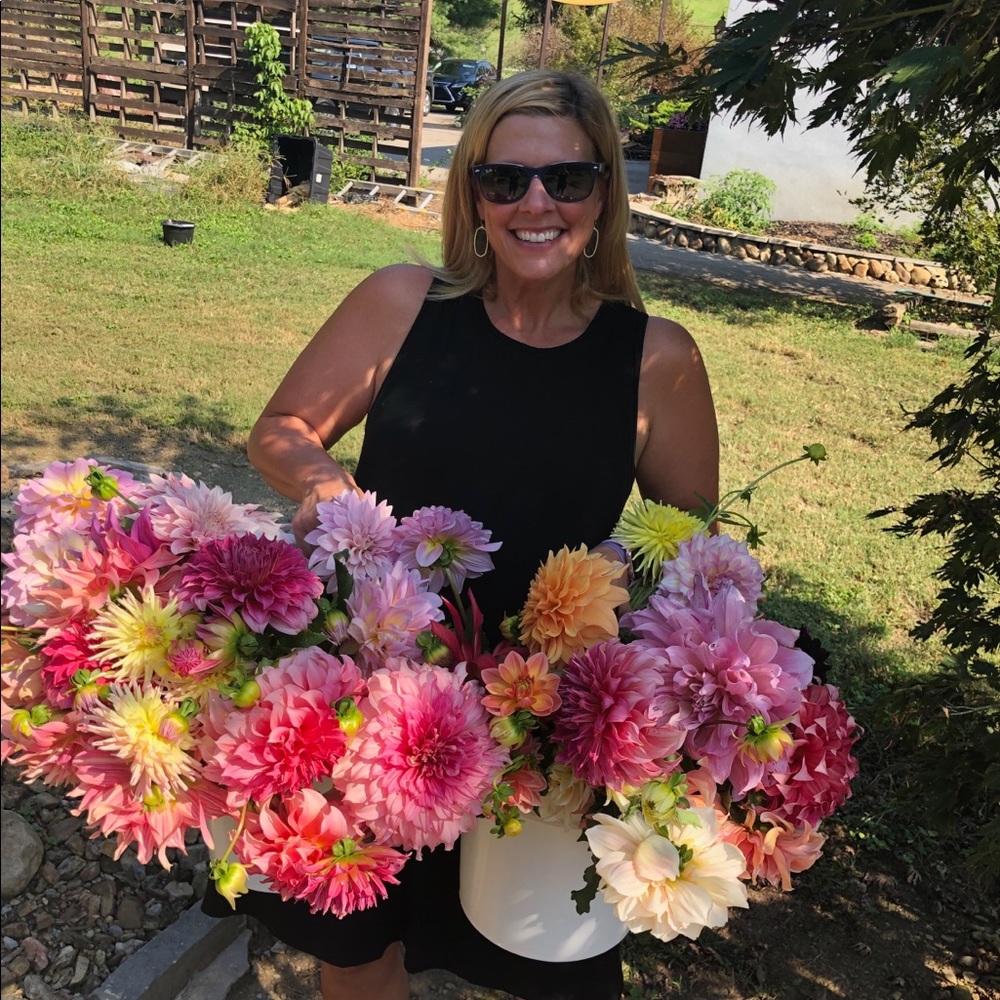 Meet your Posher, Lori